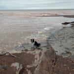 Riley at Porcupine Wilderness State Park